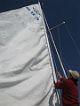 Photo 017